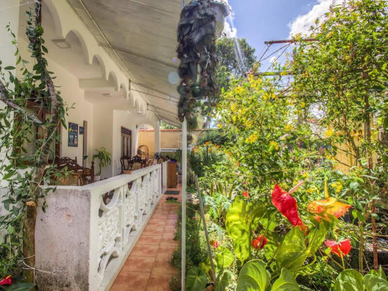 Guesthouse Kind And Love Хіккадува Екстер'єр фото